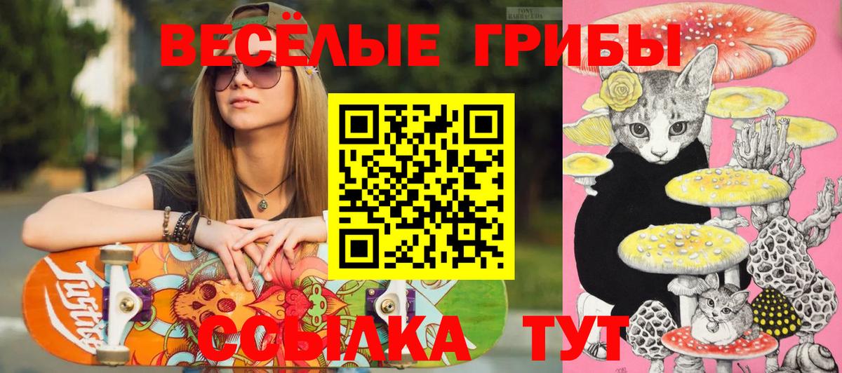Галлюциногенные грибы MAGIC MUSHROOMS  Вход с VPN  Галлюциногенные грибы мухоморы  Сыктывкар 