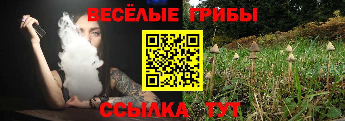 Псилоцибиновые грибы прущие грибы Сыктывкар